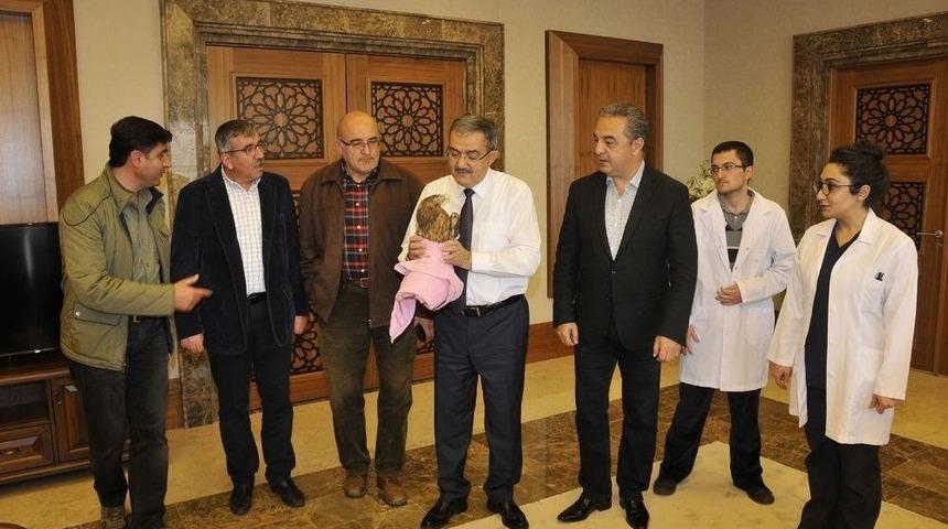 Yaralı Kızıl Şahin Tedavi Altında