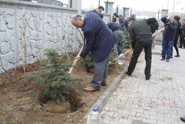 Çankırı’da 220 Adet Fidan Toprakla Buluştu