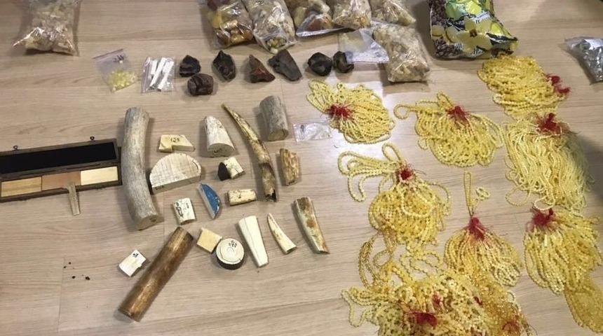 İstanbul&rsquo;da Yurda Ka&ccedil;ak Yollarla Sokulan Mors Dişleri Ele Ge&ccedil;irildi