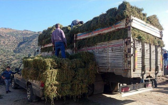 &Ccedil;er&ccedil;ioğlu; &ldquo;amacımız &Uuml;reten &Ccedil;ift&ccedil;ileriyle Daha G&uuml;&ccedil;l&uuml; Bir Aydın&rdquo; 1