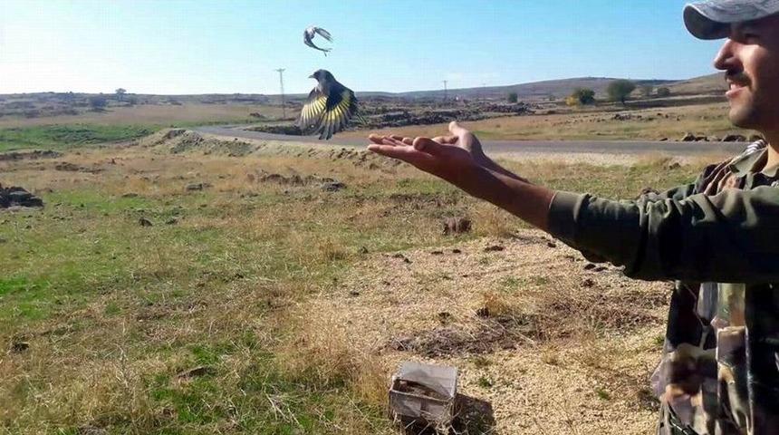 Avcılar, Suriyelilerin Yakaladığı Saka Kuşunu Doğaya Bıraktı