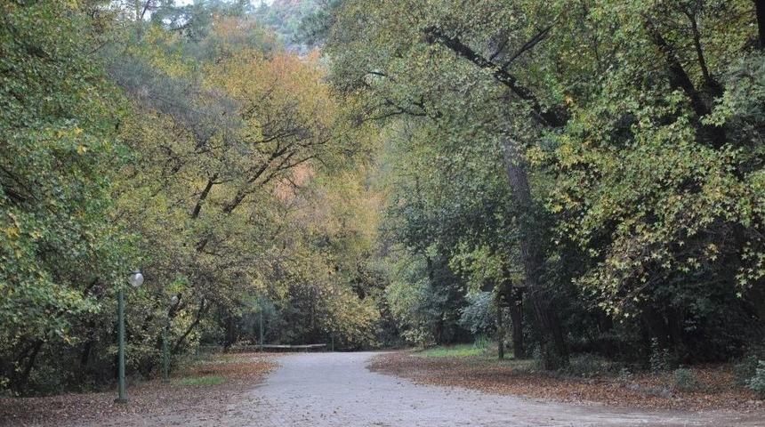 G&uuml;nn&uuml;cek Sonbaharda Başka G&uuml;zel