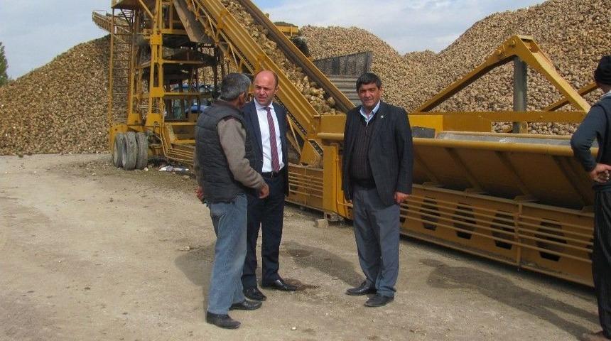 Bayburt&rsquo;ta Pancar Hasadı Alımı Tamamlandı