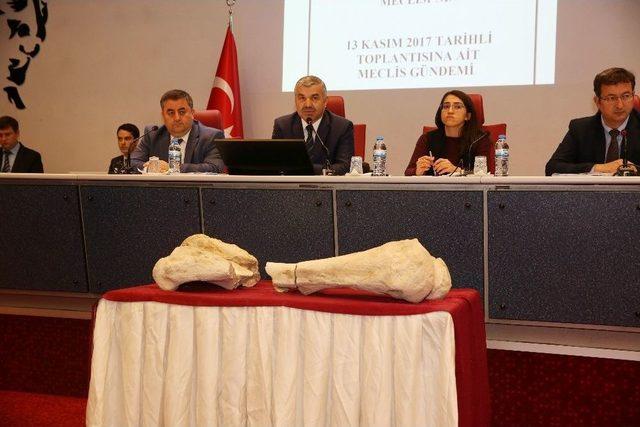 Kayseri&rsquo;de 10 Milyon Yıl &Ouml;ncesine Ait Fosil Bulundu 1