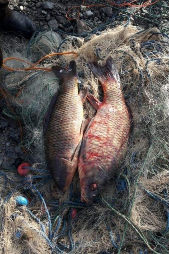 Gümüşhane’de Kaçak Balıkçılara Darbe 2