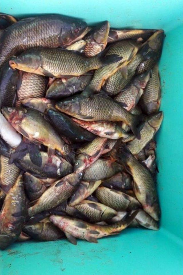 Gümüşhane’de Kaçak Balıkçılara Darbe 3