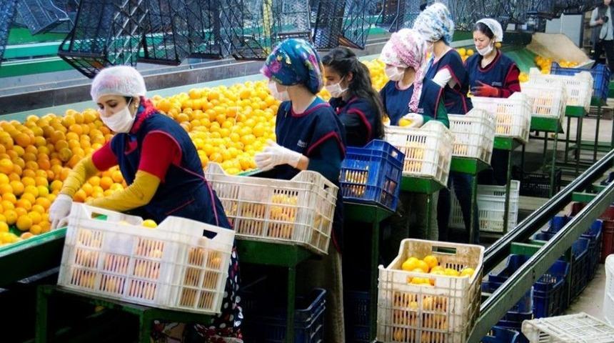 Aydın İthalatının Üç Katı İhracat Yaparak Rekor Kırdı