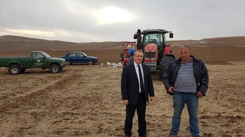 Sungurlu&rsquo;da 3 Bin 500 Dekar Arazide Anıza Direkt Ekim Yapıldı