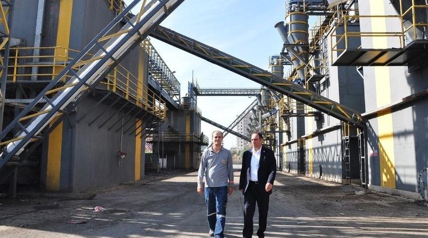 T&uuml;mer: "sarı&ccedil;amlıların &Ccedil;&ouml;pl&uuml;k Sorunu &Ccedil;&ouml;z&uuml;lecek Gibi G&ouml;r&uuml;nm&uuml;yor"