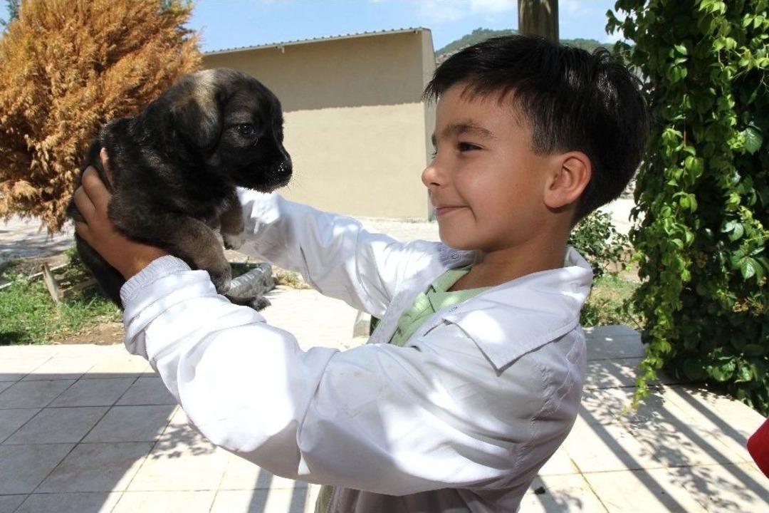 Sokaktan Sıcak Yuvaya