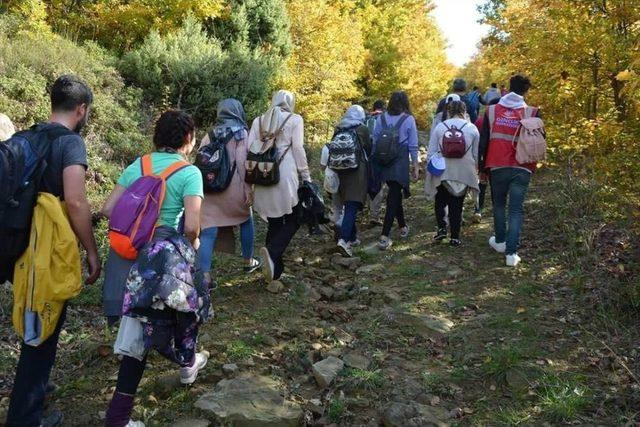 “yürümek Özgürlüktür” Sloganlı Doğa Yürüyüşü Düzenlendi