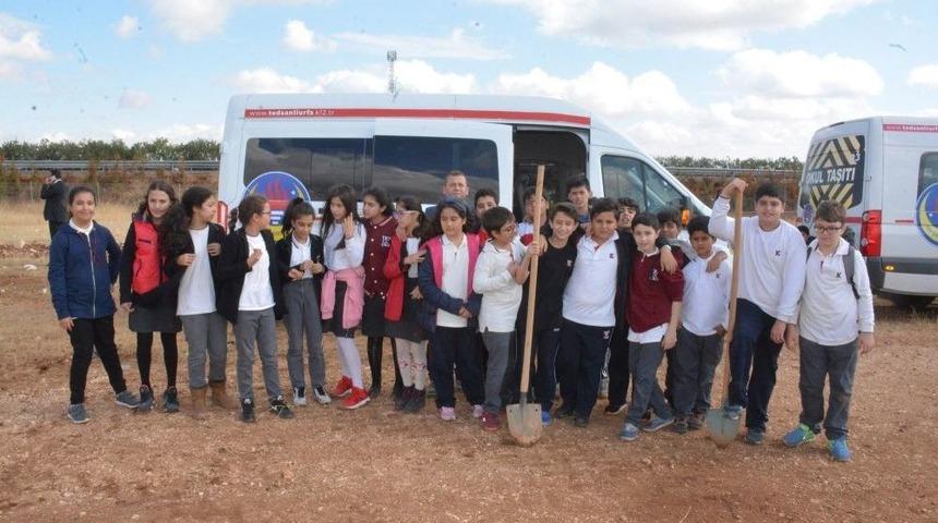 Ted&rsquo;li &Ouml;ğrencilerin Diktiği Fidanlar &lsquo;cumhuriyet Ormanı&rsquo; Olacak