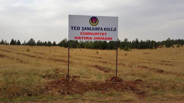 Ted&rsquo;li &Ouml;ğrencilerin Diktiği Fidanlar &lsquo;cumhuriyet Ormanı&rsquo; Olacak 1