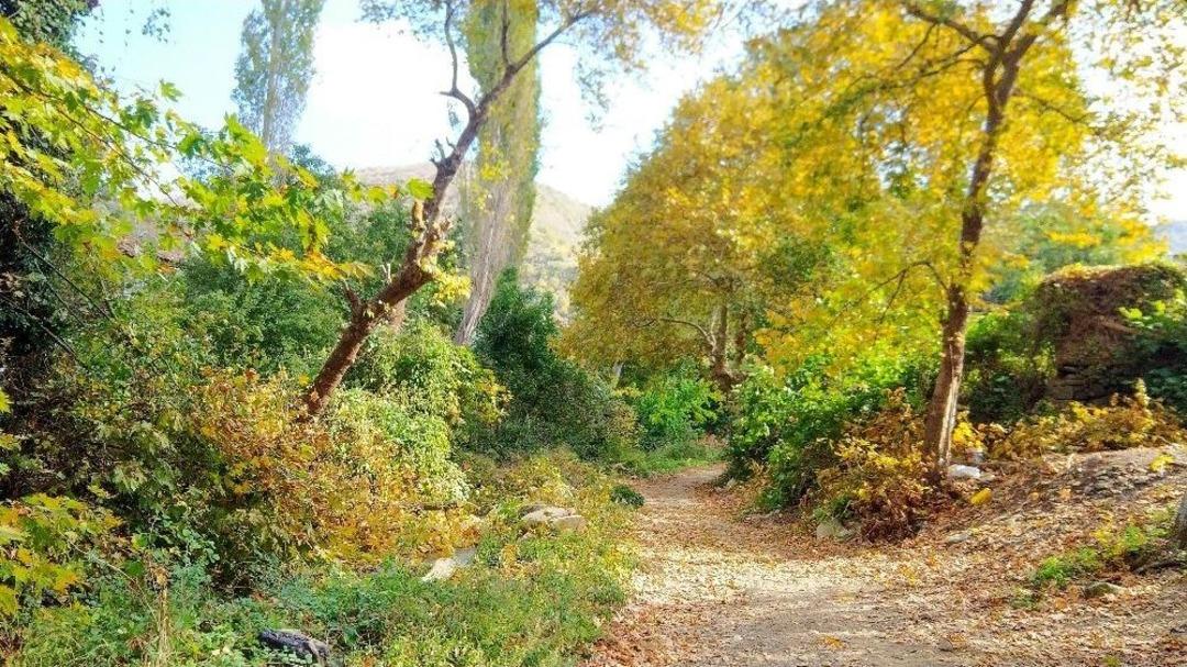 Ganos Ormanlarında Sonbahar