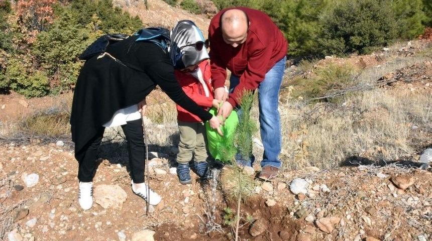 Yeni Doğan Bebekler İ&ccedil;in Fidan Dikildi