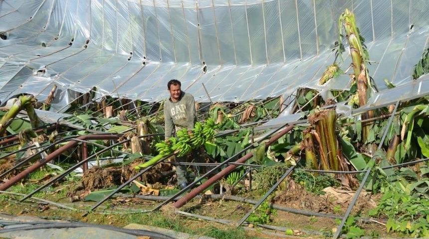 Hortum, Bozyazı&rsquo;da Muz Seralarını Yıktı