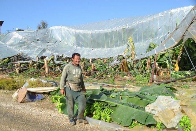 Hortum, Bozyazı’da Muz Seralarını Yıktı