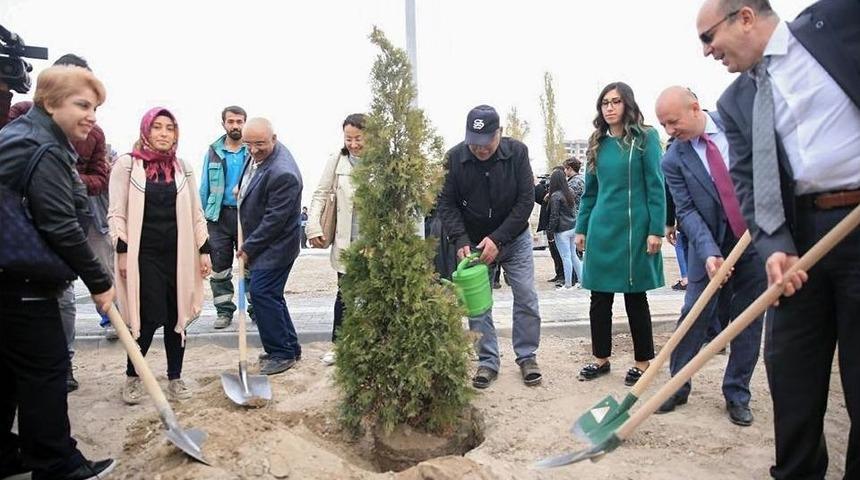 Kocasinan, Bu Sefer Diyabet Farkındalığı İ&ccedil;in Ağa&ccedil; Dikti