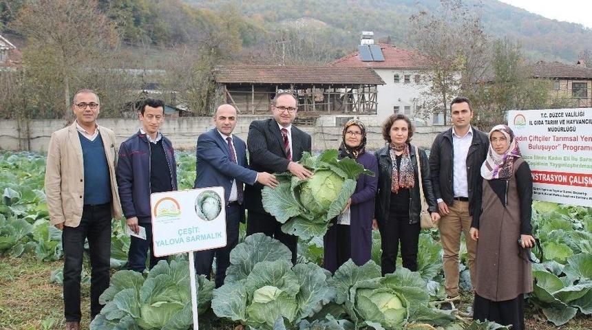 G&ouml;lyaka&rsquo;da Tarla G&uuml;n&uuml; Etkinliği D&uuml;zenlendi