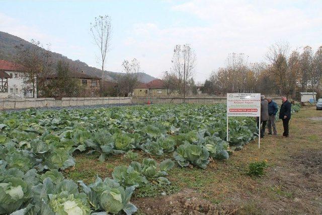 Gölyaka’da Tarla Günü Etkinliği Düzenlendi