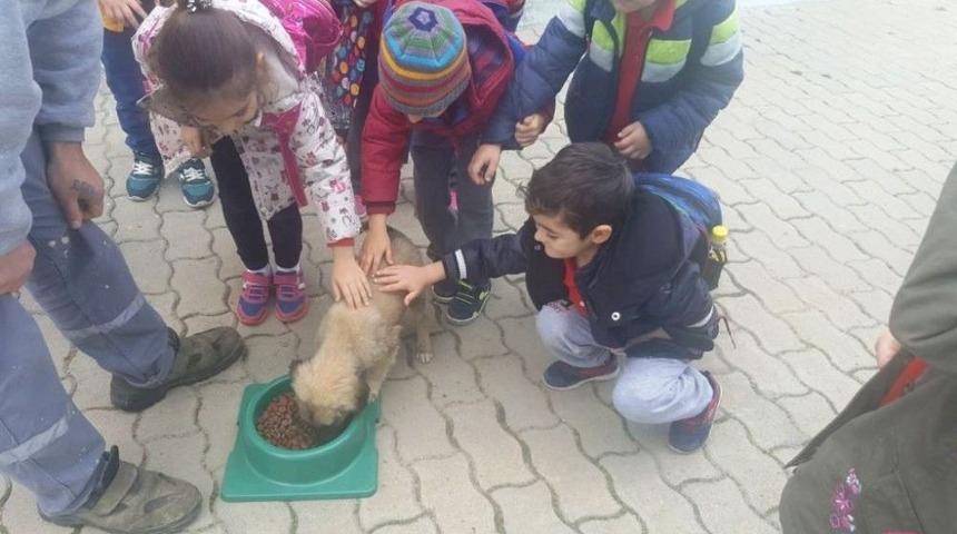 Ge&ccedil;ici Bakımevinde &Ouml;ğrencilere Hayvan Sevgisi Aşılanıyor