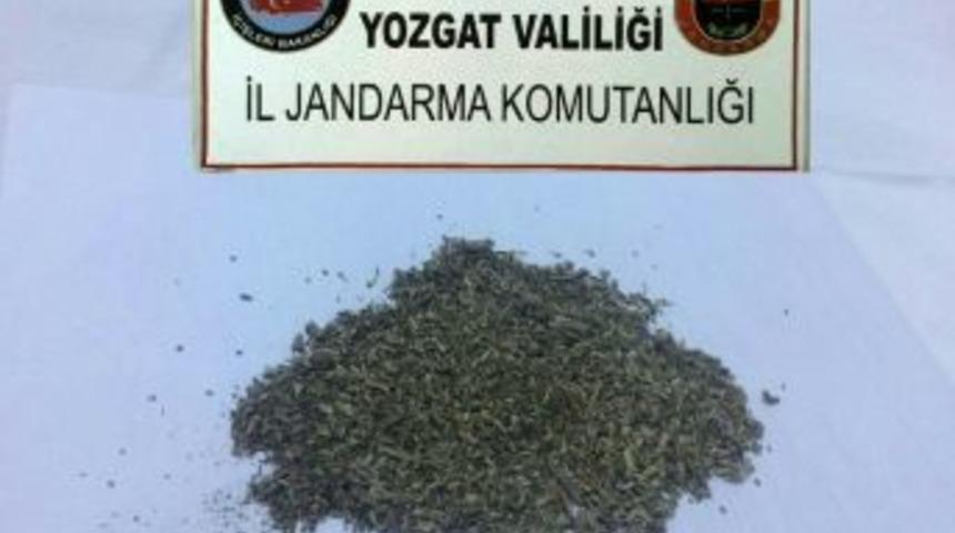 Jandarma Yol Kontrol&uuml;nde Bonzai Ele Ge&ccedil;irdi