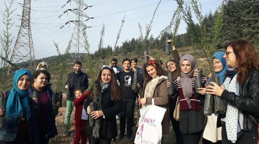 K&ouml;rfezli Gen&ccedil;ler Fidan Dikti