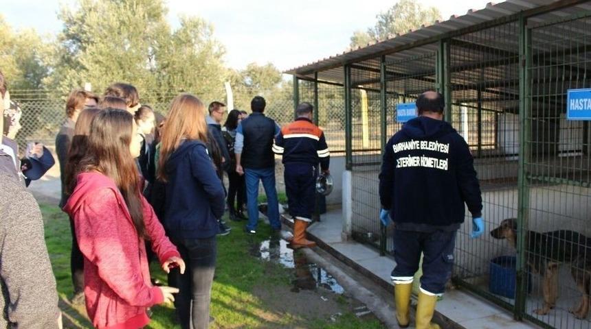 Burhaniye&rsquo;de Liseliler Sokak Hayvanları İ&ccedil;in Mama Topladı