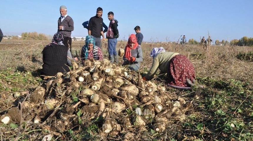 Sağanak Yağış &Ccedil;ift&ccedil;inin İşini Zorlaştırdı