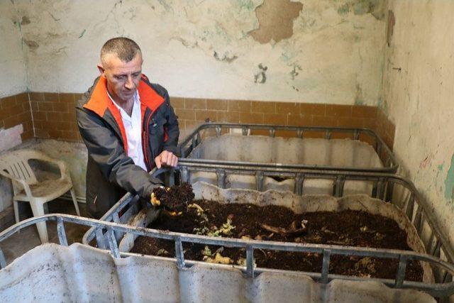 (&ouml;zel Haber) Hobi Olarak Başladığı Solucan G&uuml;bresi İşi Ge&ccedil;im Kaynağı Oldu 1