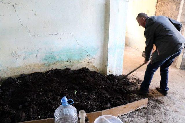 (&ouml;zel Haber) Hobi Olarak Başladığı Solucan G&uuml;bresi İşi Ge&ccedil;im Kaynağı Oldu 2