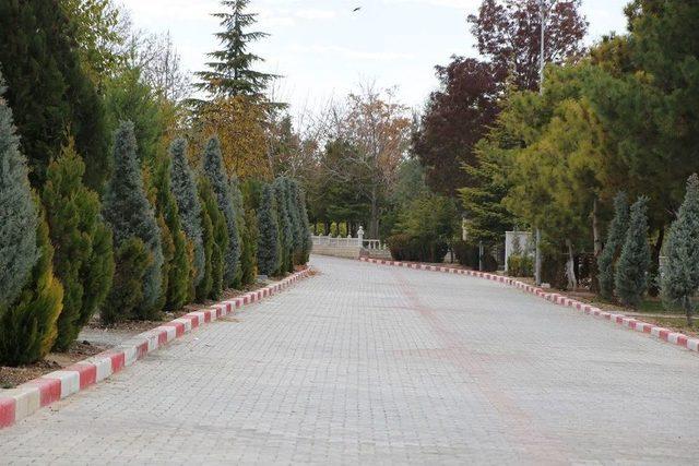 Karaman Belediyesi’nden Mezarlık Düzenlemesi