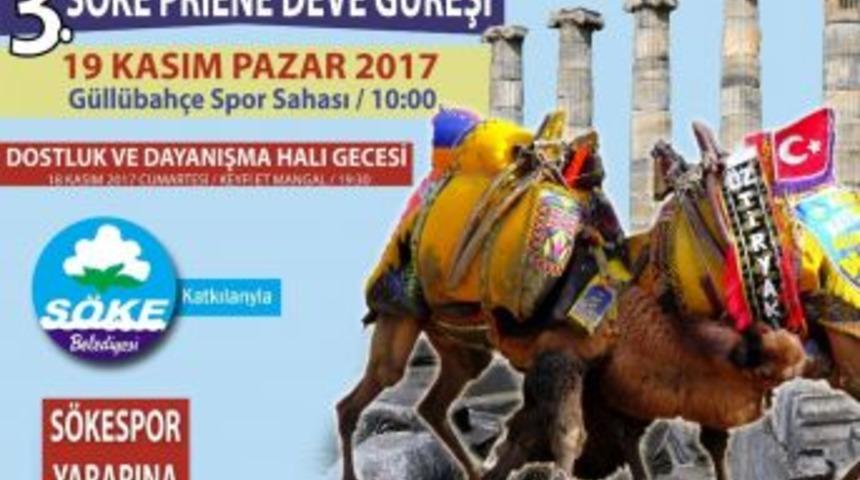 S&ouml;ke&rsquo;de Deve G&uuml;reşi Heyecanı Yaşanacak