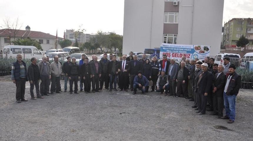 Kırkağa&ccedil;&rsquo;ta &Uuml;reticiye 7 Bin 170 Zeytin Fidanı