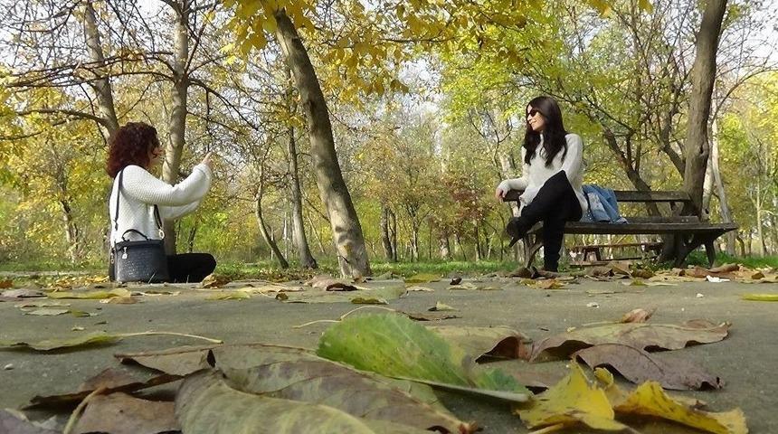 Kent Ormanı St&uuml;dyoya D&ouml;nd&uuml;