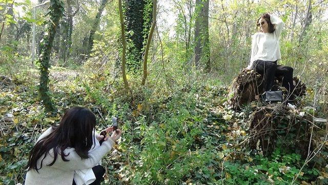 Kent Ormanı St&uuml;dyoya D&ouml;nd&uuml; 2