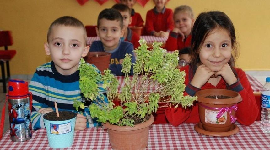 Kalemleri &Ccedil;i&ccedil;ek A&ccedil;ıyor
