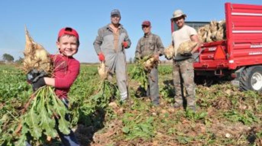 Pancarın Tonu Ortalama 178 Tl