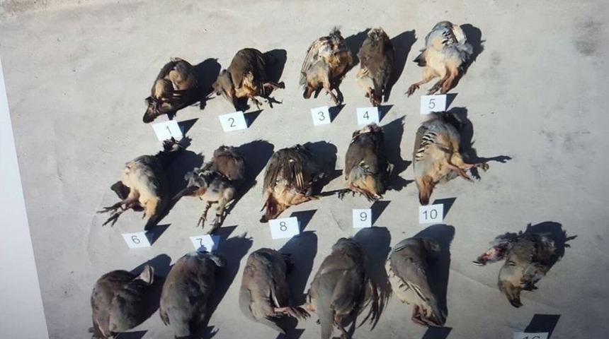 Usuls&uuml;z Avlanan 3 Kişiye, 7 Bin 210 Lira Ceza Kesildi