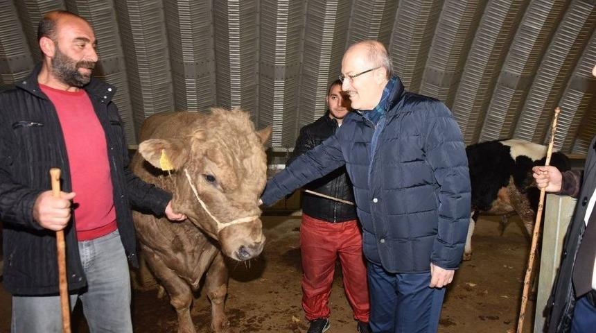 Başkan Kafaoğlu Hayvan Pazarını İnceledi