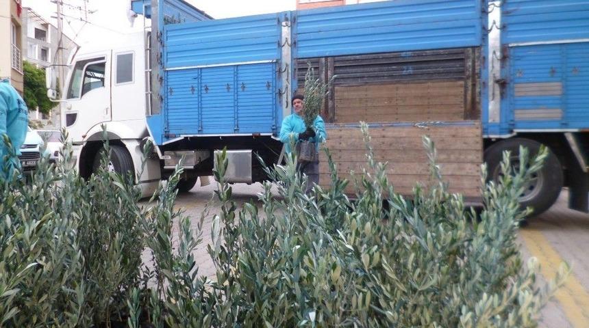 B&uuml;y&uuml;kşehirin Kırsala Desteği S&uuml;r&uuml;yor