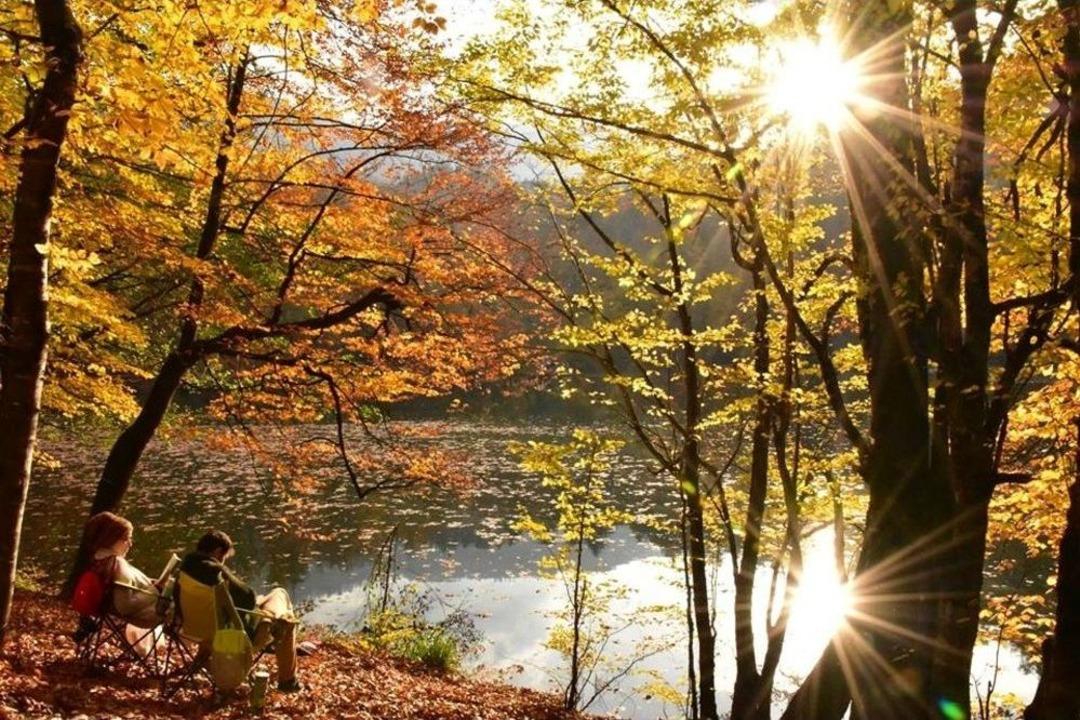 Manisalı Fotoğraf&ccedil;ılar Sonbaharın Renklerini Yedig&ouml;ller&rsquo;de Fotoğrafladı