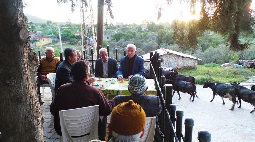 Torbalı&rsquo;daki Zeytin Ve Zeytin Yağı Hasat Festivali İ&ccedil;in Geri Sayım