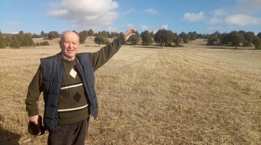 Yerli Otomobil İ&ccedil;in 10 D&ouml;n&uuml;ml&uuml;k Tarlasını Bağışlayacak