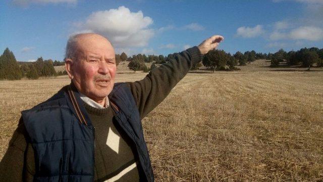 Yerli Otomobil İ&ccedil;in 10 D&ouml;n&uuml;ml&uuml;k Tarlasını Bağışlayacak 1