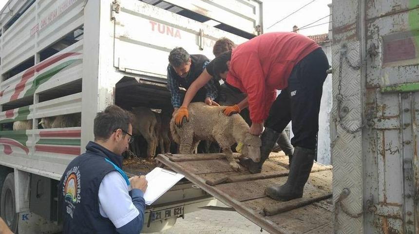 Gen&ccedil; &Ccedil;ift&ccedil;iler K&ouml;ylerine D&ouml;n&uuml;yor