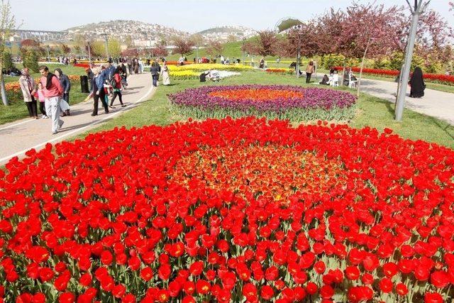 Lale Festivali&rsquo;ne Adım Adım 2