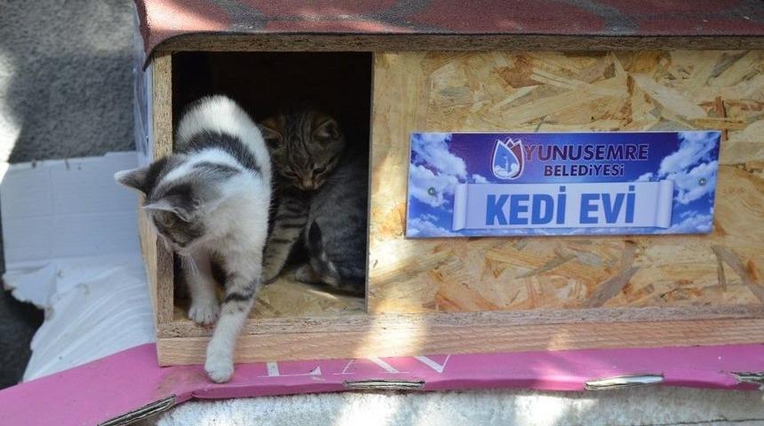 Yunusemre Hayvanları Da D&uuml;ş&uuml;n&uuml;yor