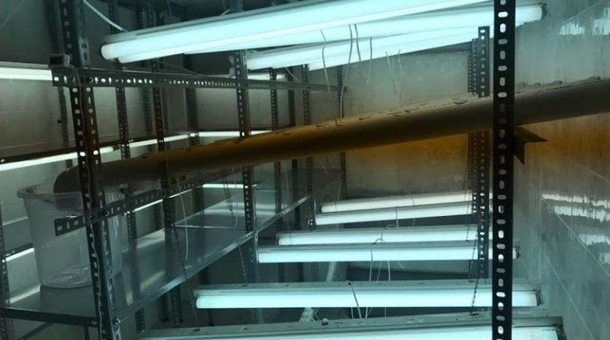 &lsquo;doku K&uuml;lt&uuml;r&uuml; Yetiştirme Ve Topraksız Kapalı Alan &Uuml;retim Odası&rsquo; Hizmete A&ccedil;ıldı