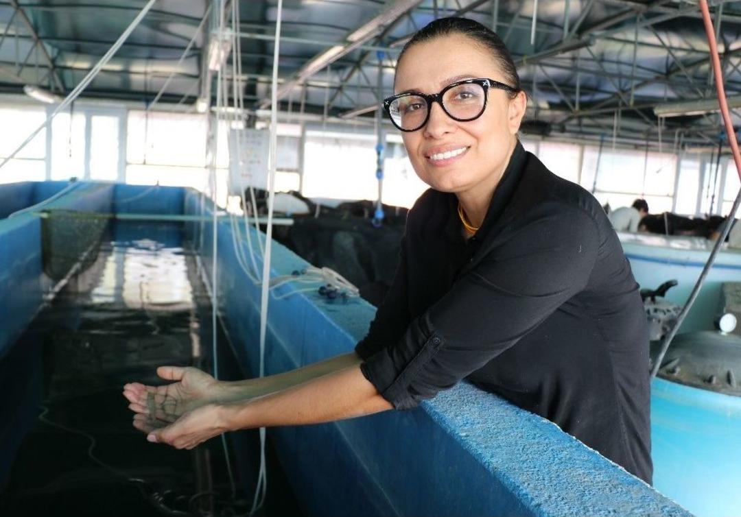 Karidese Yatıran Kazanıyor